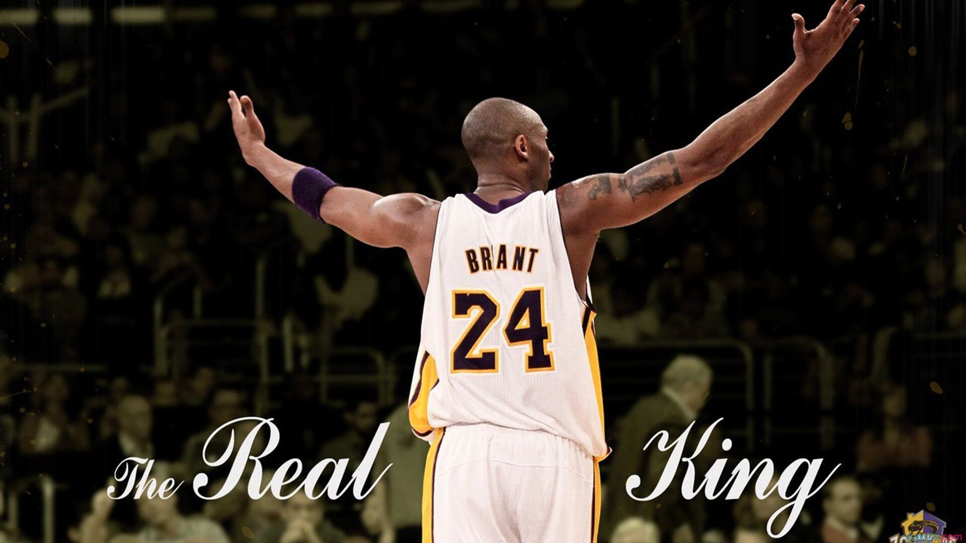 库里新星势不可挡表现惊艳，FPX未来可期！